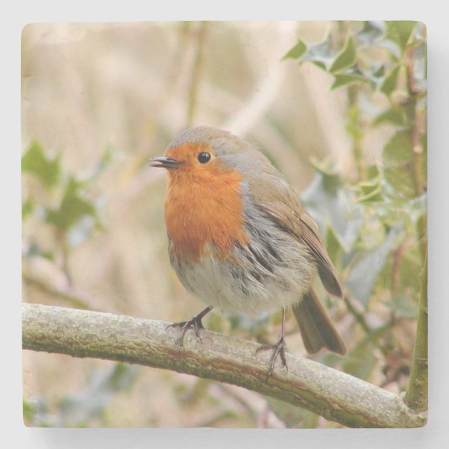 Stunning Robin Underlägg Sten (Framsidan)