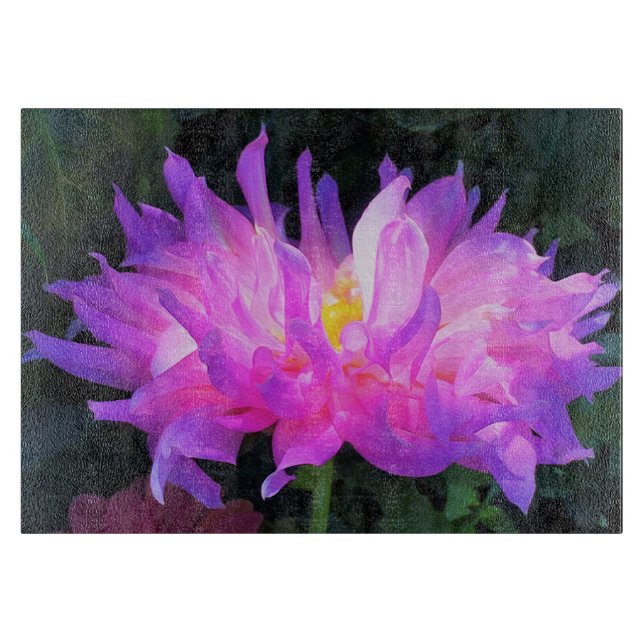 Stunning Rosa och Lila Cactus Dahlia (Framsidan)