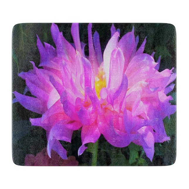 Stunning Rosa och Lila Cactus Dahlia (Framsidan)