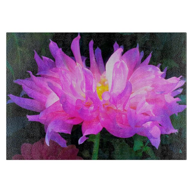 Stunning Rosa och Lila Cactus Dahlia (Framsidan)