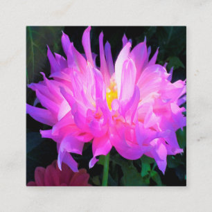 Stunning Rosa och Lila Cactus Dahlia Fyrkantigt Visitkort