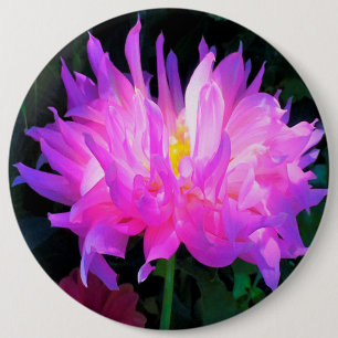 Stunning Rosa och Lila Cactus Dahlia Knapp