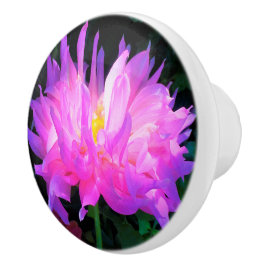 Stunning Rosa och Lila Cactus Dahlia Knopp