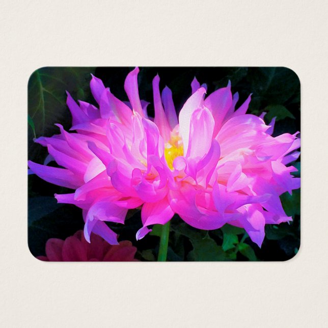 Stunning Rosa och Lila Cactus Dahlia Visitkort (Framsidan)