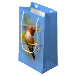 Stunning Rufous Hummingbird i Sol