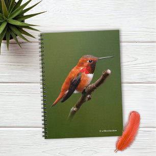 Stunning Rufous Hummingbird på Cherry Gren Anteckningsbok
