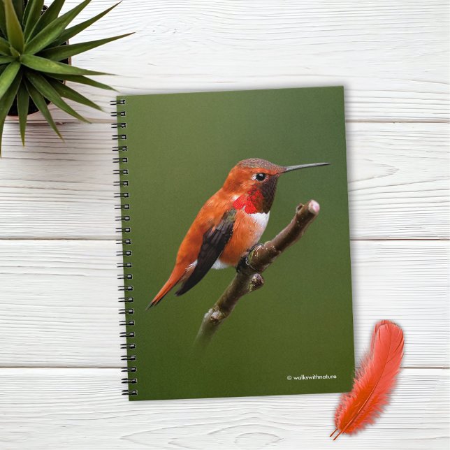 Stunning Rufous Hummingbird på Cherry Gren Anteckningsbok (Stunning Rufous Hummingbird on the Cherry Tree Journal Cover Photo)