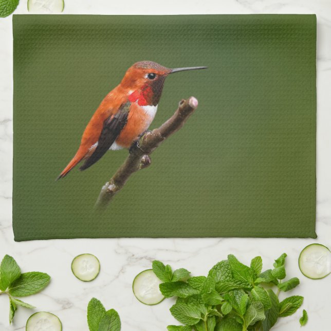 Stunning Rufous Hummingbird på Cherry Träd Kökshandduk (Vikta)