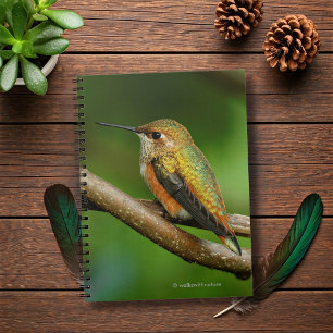 Stunning Rufous Hummingbird på Twining Vines Anteckningsbok Med Spiral