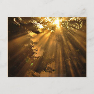 Stunning Sunset Photo med Crazy Sunbeams Vykort