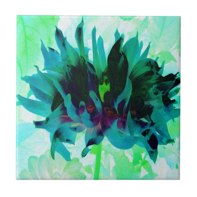 Stunning Teal and Black Cactus Dahlia Kakelplatta (Framsidan)