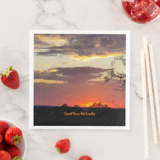 Stunning Texas Sunset Pappersservett Party Supply