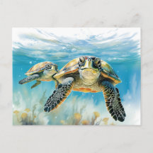 Stunning Turtle