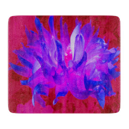 Stunning Violet Blue och Shock rosa Cactus Dahlia