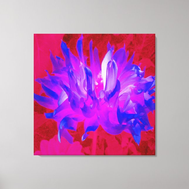 Stunning Violet Blue och Shock rosa Cactus Dahlia Canvastryck (Framsida)