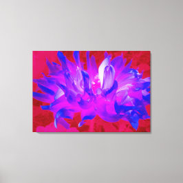 Stunning Violet Blue och Shock rosa Cactus Dahlia Canvastryck