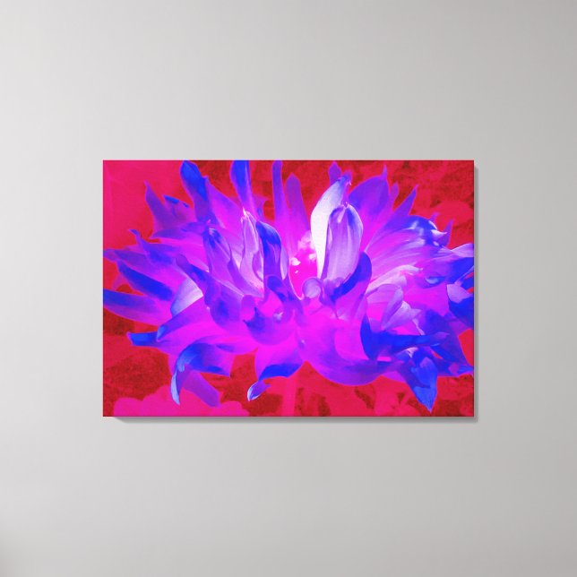 Stunning Violet Blue och Shock rosa Cactus Dahlia Canvastryck (Framsida)