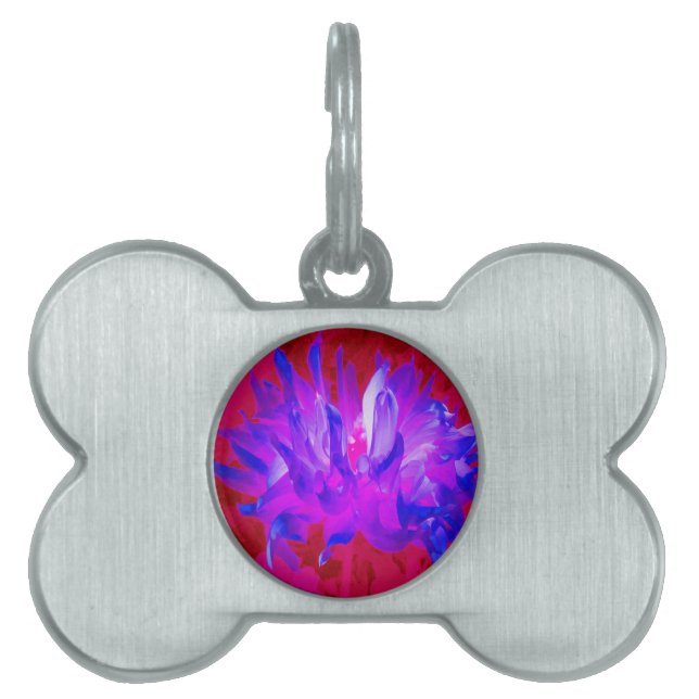 Stunning Violet Blue och Shock rosa Cactus Dahlia ID-bricka Husdjur (Framsidan)