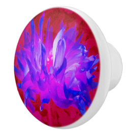 Stunning Violet Blue och Shock rosa Cactus Dahlia Knopp