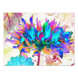 Stunning Watercolor Rainbow Cactus Dahlia Fototryck