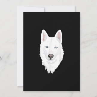 Stunning White Siberian husky - Sweet White Snö Julkort
