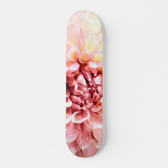 Stunningen av rosa Dahlia-blommans huvud närmar si Mini Skateboard Bräda 18,5 Cm (Framsida)