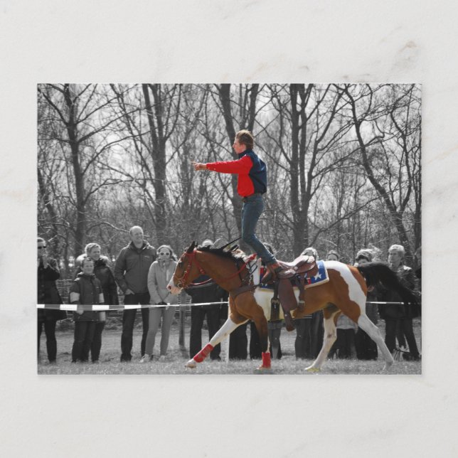 Stunt Riding Vykort (Framsida)