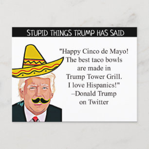 Stupid Sak Trump har sagt Postcard Souvenir Vykort