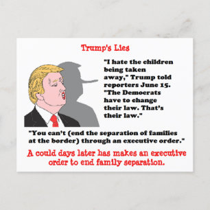 Stupid Sak Trump har sagt Postcard Souvenir Vykort