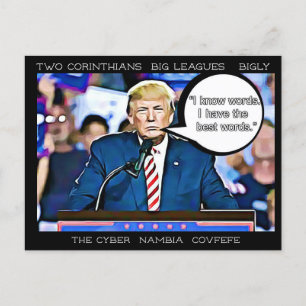 Stupid Sak Trump har sagt Postcard Souvenir Vykort