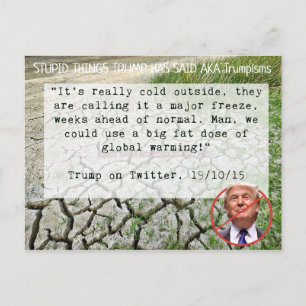 Stupid Sak Trump har sagt Postcard Souvenir Vykort