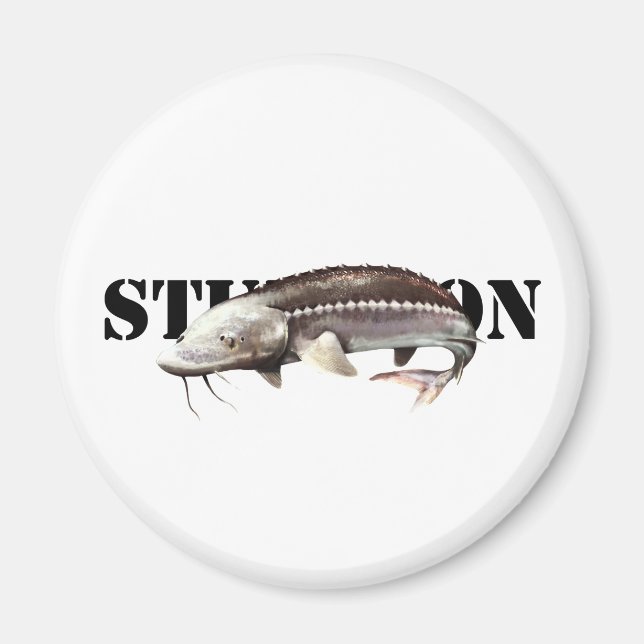 Sturgeon Magnet (Framsidan)