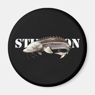 Sturgeon Magnet