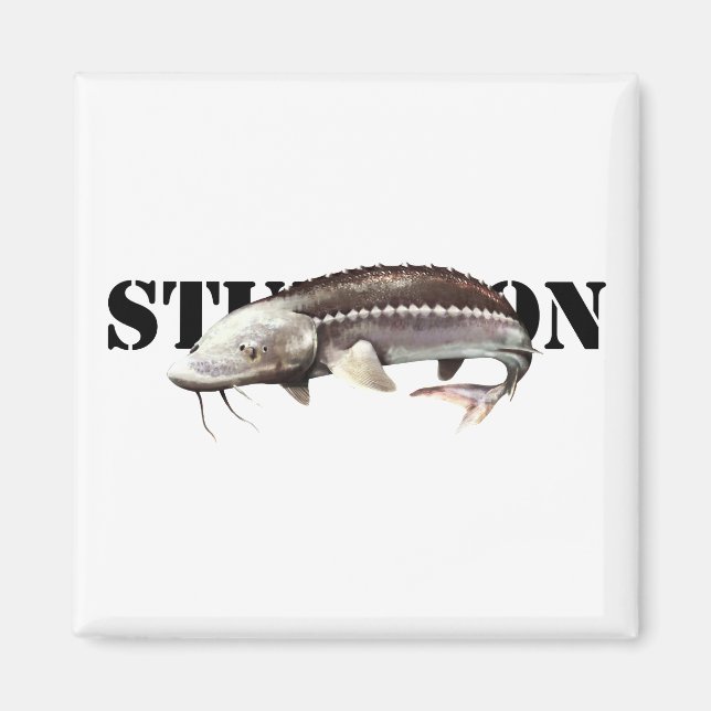 Sturgeon Magnet (Framsidan)