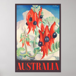 Sturt Desert Pea Australia vintage resor Poster
