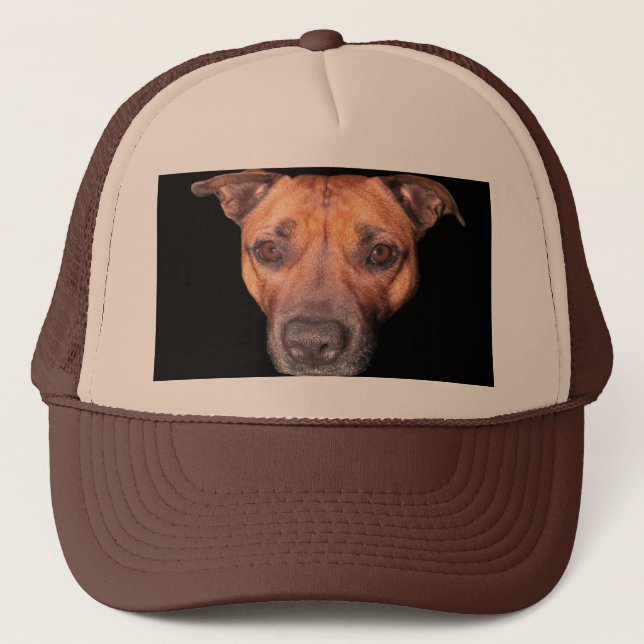 Stviddshire Bull Terrier Ansikte Keps (Framsida)