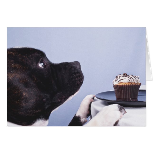 Stviddshire Bull Terrier & Cake Card Hälsningskort (Framsidan Horizontal)