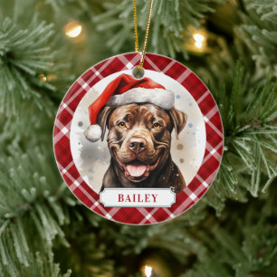 Stviddshire Bull Terrier Ceramic Circle Ornament