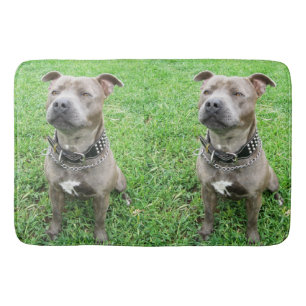 Stviddshire Bull Terrier Sitta Attention, Badrumsmatta