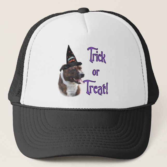 Stviddshire Bull Terrier Trick Keps (Framsida)