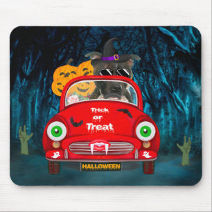 Stviddshire Hund Driving Car Scary Halloween Musmatta