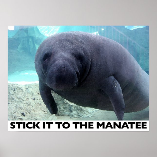 STYCKA DEN TILL MANATEE poster (Framsidan)