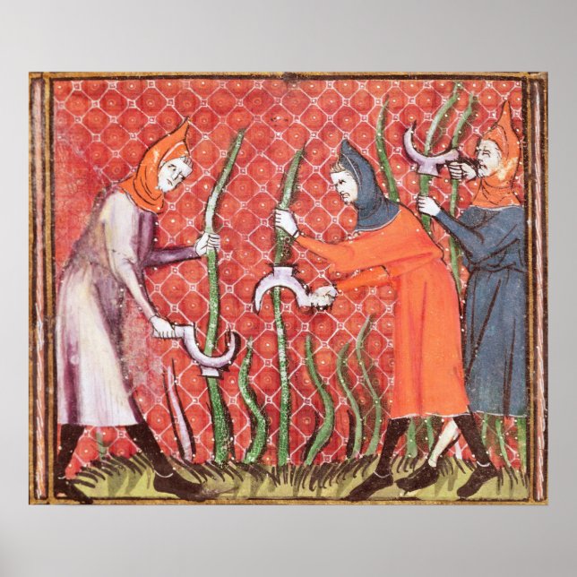 Styckning av Träd från Ovide Moralize Poster (Framsidan)