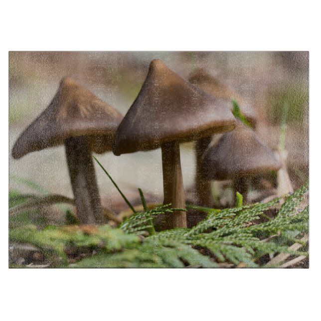 Styckningsstyrelsen för vår (Framsidan)