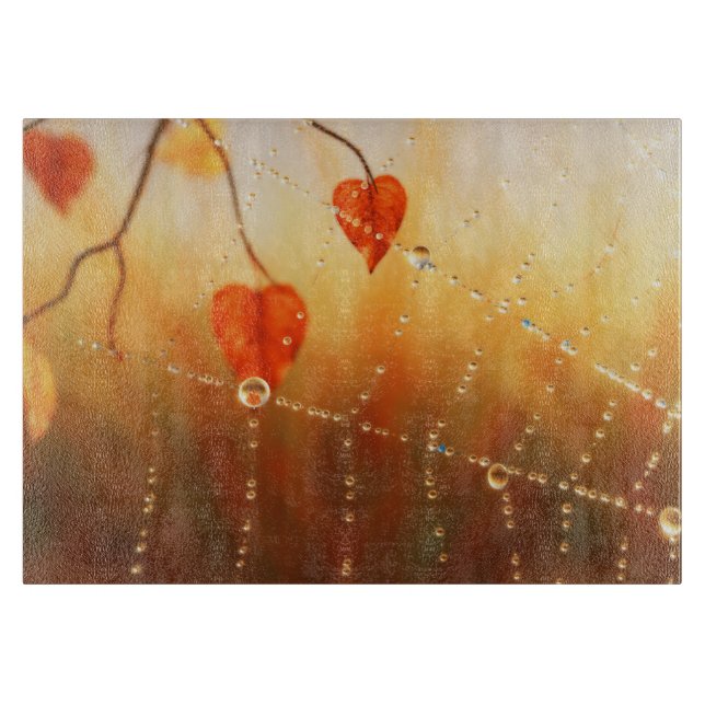 Styckskivor från höstmorgon (Framsidan)