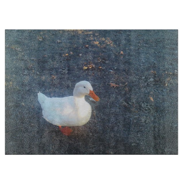 Styckstyrelsen för anka (Framsidan)