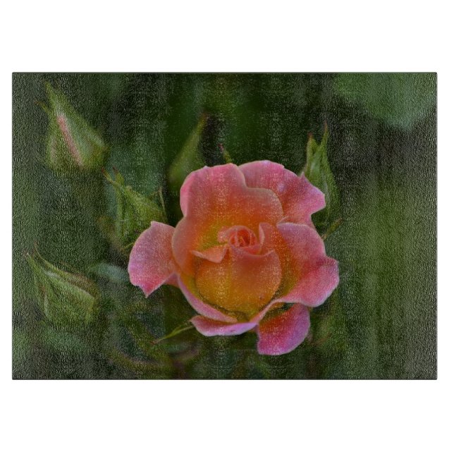 Styckstyrelsen för ro (Framsidan)