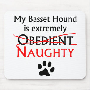 Stygg Bassethund Musmatta