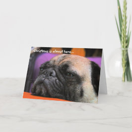 Stygg mopsjulkort helgkort