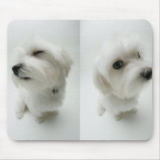 stygg-valpar musmatta